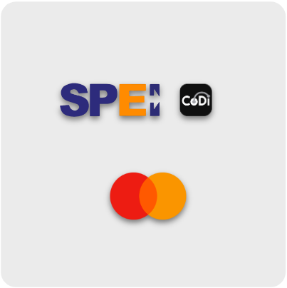 Connected Payment Methods
